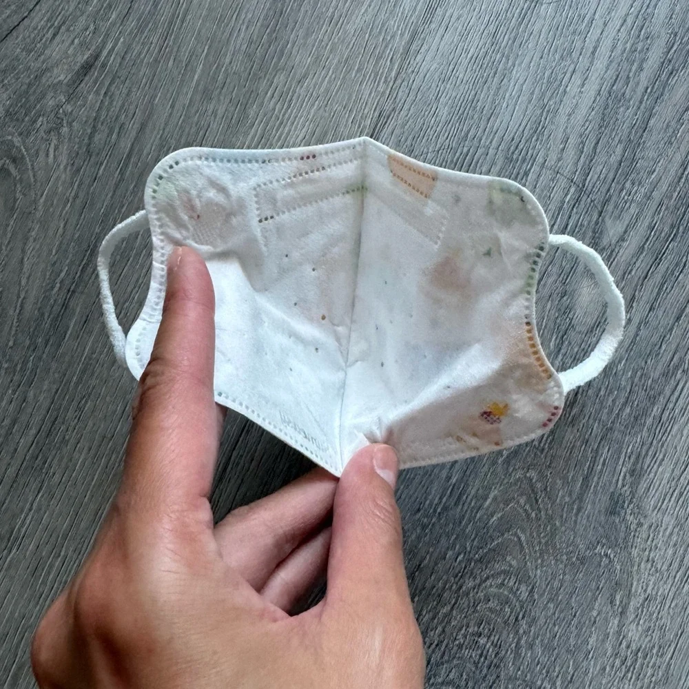 Dinosaur Print Toddler Disposable Face Mask